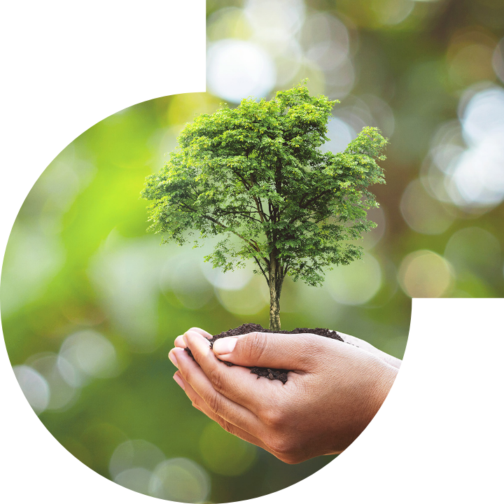 �P��������Ļ����h���c���