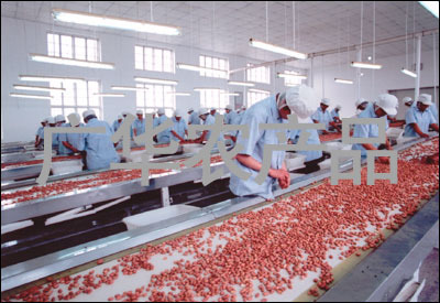 山東廣華農(nóng)產(chǎn)品 推動農(nóng)產(chǎn)品加工升級，助力鄉(xiāng)村振興