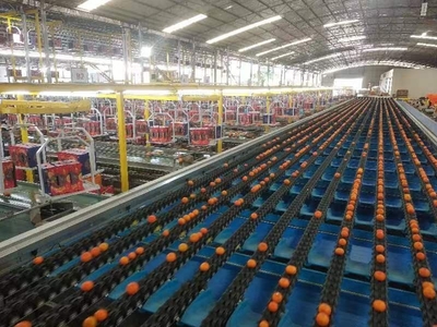 西鄉(xiāng)塘 支部聯(lián)建共謀產(chǎn)業(yè)發(fā)展 科技引領(lǐng)助推鄉(xiāng)村振興