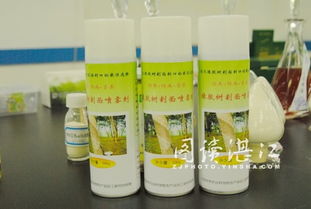 湛江科技人 你可能不知道的橡膠樹“防寒衣”——農(nóng)產(chǎn)品加工研究所的精彩故事