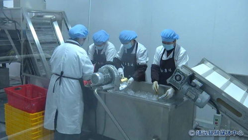 張延保調(diào)研靖遠(yuǎn)縣農(nóng)產(chǎn)品加工業(yè) 激發(fā)產(chǎn)業(yè)潛能，賦能鄉(xiāng)村振興