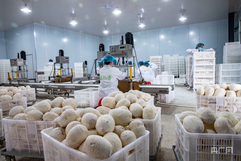 福建光澤 以倉儲冷鏈建設(shè)為引擎，驅(qū)動鄉(xiāng)村產(chǎn)業(yè)振興與農(nóng)產(chǎn)品加工升級