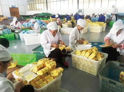 保山市農(nóng)產(chǎn)品加工業(yè) 邁上高質(zhì)量發(fā)展新臺階