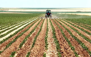 中國(guó)種養(yǎng)業(yè)加速向農(nóng)產(chǎn)品加工業(yè)延伸，破解加工深度不足難題