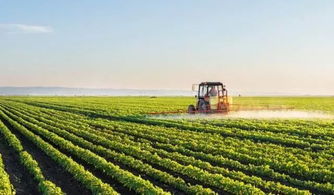 農(nóng)業(yè)工程 以農(nóng)產(chǎn)品加工為抓手，綜合推進(jìn)新農(nóng)村建設(shè)的核心學(xué)科