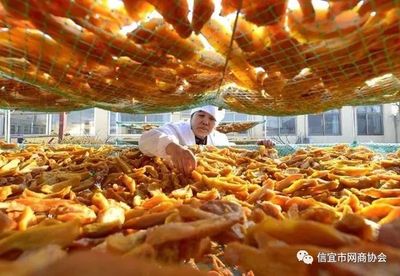 推進(jìn)農(nóng)產(chǎn)品加工轉(zhuǎn)型升級(jí)，打造鄉(xiāng)村產(chǎn)業(yè)振興新引擎