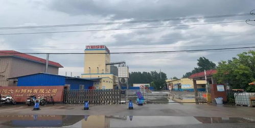 商河縣企業(yè)榮膺省級(jí)農(nóng)產(chǎn)品加工業(yè)示范企業(yè)稱號(hào)，引領(lǐng)產(chǎn)業(yè)升級(jí)新篇章