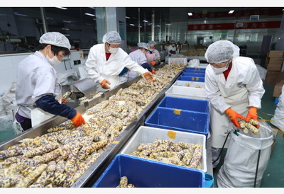 打造“第一車間” 農(nóng)業(yè)農(nóng)村部力推農(nóng)產(chǎn)品精深加工，百?gòu)?qiáng)企業(yè)引領(lǐng)產(chǎn)業(yè)升級(jí)