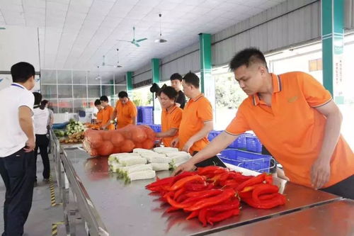 2019中央一號文件解讀 農(nóng)村電商迎六大政策利好，農(nóng)產(chǎn)品加工迎來新機遇