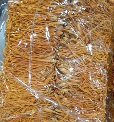 純天然本色 無硫無染蟲草花的品質(zhì)與食用價值