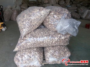 泌陽香菇 從散裝干貨到低價批發(fā)的產(chǎn)地直供優(yōu)勢