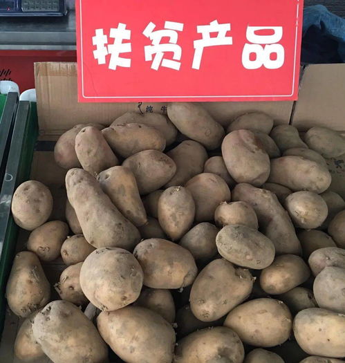 扶貧農(nóng)產(chǎn)品上餐桌了啦——食用農(nóng)產(chǎn)品初加工助力鄉(xiāng)村振興